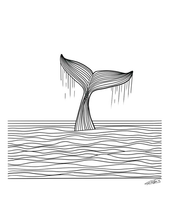 Whale_tail
